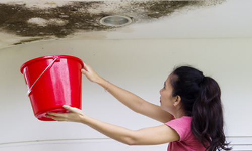 Leaking Roof Moline IL